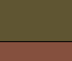 Military Green/Tan