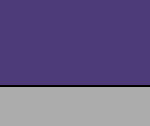Purple/Light Grey